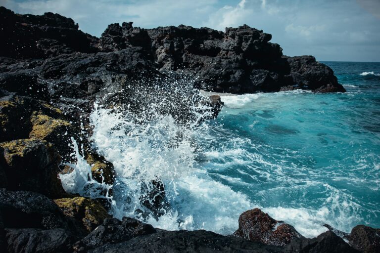 Vague frappant la côte sauvage.